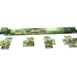 Lookout Games: Forest Shuffle - Board Game