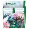 Magic The Gathering Bloomburrow Collector Booster Box